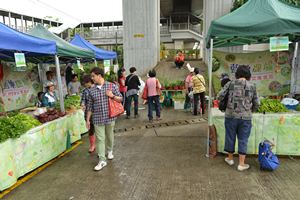 Lam Tei Farmers' Market